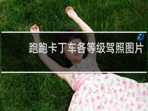 跑跑卡丁车各等级驾照图片