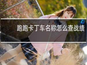 跑跑卡丁车名称怎么查战绩