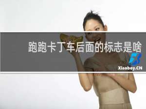 跑跑卡丁车后面的标志是啥