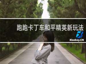 跑跑卡丁车和平精英新玩法