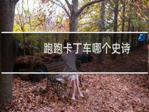 跑跑卡丁车哪个史诗