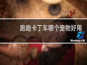 跑跑卡丁车哪个宠物好用