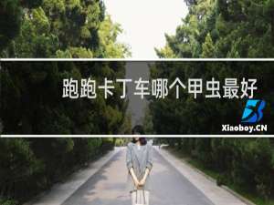 跑跑卡丁车哪个甲虫最好