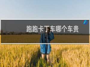 跑跑卡丁车哪个车贵