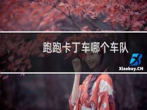 跑跑卡丁车哪个车队