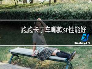 跑跑卡丁车哪款sr性能好