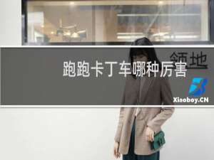 跑跑卡丁车哪种厉害