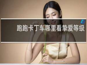 跑跑卡丁车哪里看挚爱等级