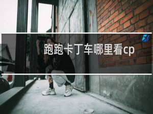 跑跑卡丁车哪里看cp