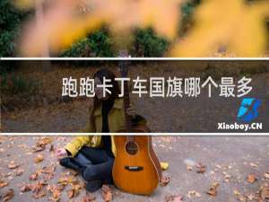 跑跑卡丁车国旗哪个最多