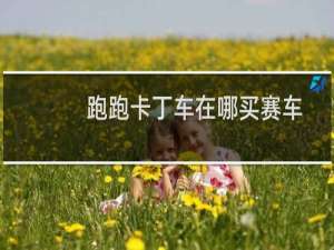 跑跑卡丁车在哪买赛车