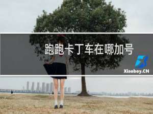 跑跑卡丁车在哪加号