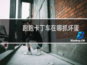 跑跑卡丁车在哪抓坏蛋