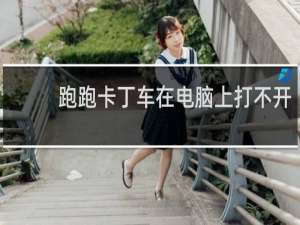 跑跑卡丁车在电脑上打不开