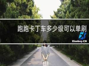 跑跑卡丁车多少级可以单刷