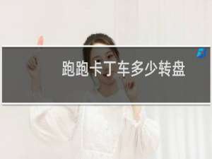 跑跑卡丁车多少转盘