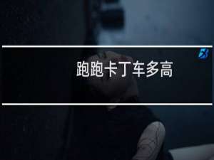 跑跑卡丁车多高