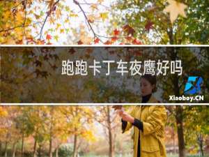 跑跑卡丁车夜鹰好吗