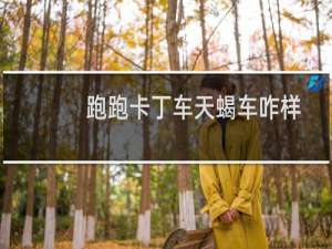 跑跑卡丁车天蝎车咋样