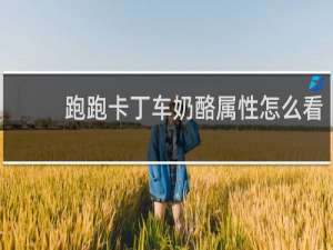 跑跑卡丁车奶酪属性怎么看