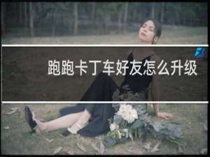 跑跑卡丁车好友怎么升级