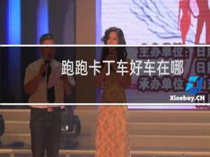 跑跑卡丁车好车在哪