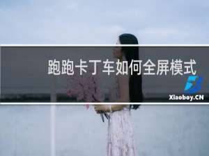 跑跑卡丁车如何全屏模式