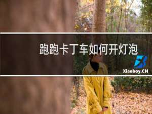 跑跑卡丁车如何开灯泡