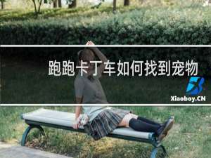 跑跑卡丁车如何找到宠物