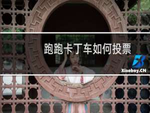 跑跑卡丁车如何投票