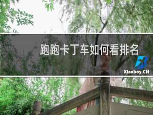 跑跑卡丁车如何看排名