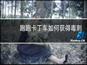 跑跑卡丁车如何获得毒刺