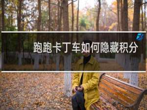 跑跑卡丁车如何隐藏积分