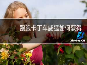 跑跑卡丁车威猛如何获得