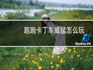 跑跑卡丁车威猛怎么玩