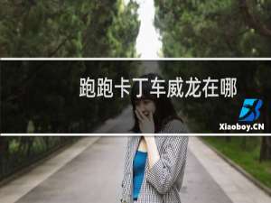 跑跑卡丁车威龙在哪