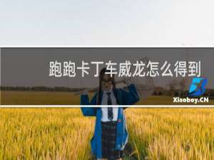 跑跑卡丁车威龙怎么得到
