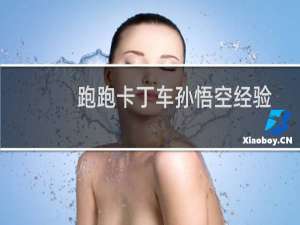 跑跑卡丁车孙悟空经验