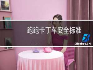 跑跑卡丁车安全标准