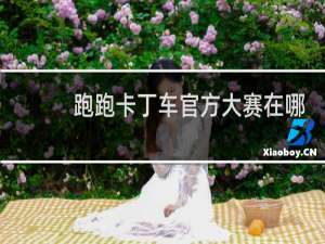 跑跑卡丁车官方大赛在哪