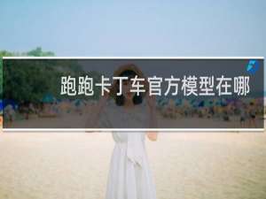 跑跑卡丁车官方模型在哪