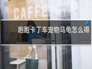 跑跑卡丁车宠物乌龟怎么得