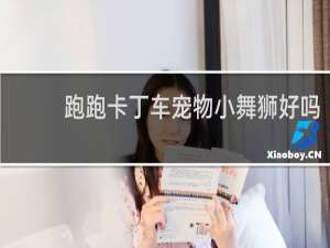 跑跑卡丁车宠物小舞狮好吗