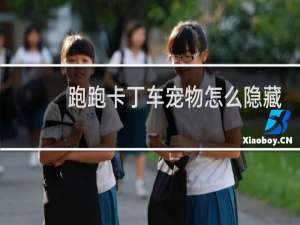 跑跑卡丁车宠物怎么隐藏