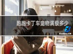 跑跑卡丁车宠物满级多少