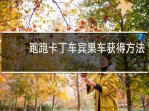 跑跑卡丁车宾果车获得方法