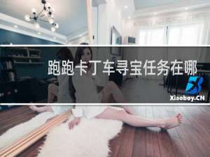 跑跑卡丁车寻宝任务在哪