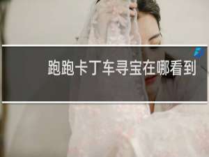 跑跑卡丁车寻宝在哪看到