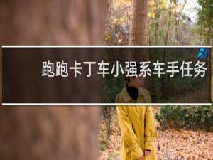 跑跑卡丁车小强系车手任务