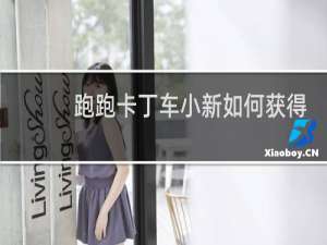 跑跑卡丁车小新如何获得